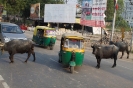 New Delhi 2013_35